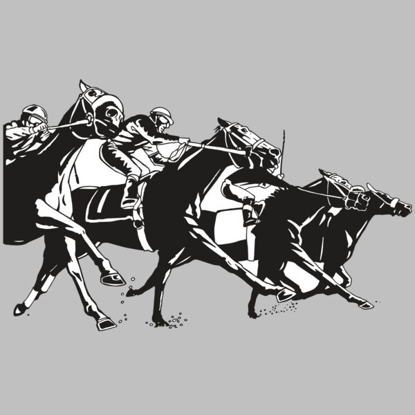 AR EQUEST 13 RC Thumbnail