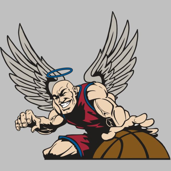 AR17 ANGEL BSKT 04 RQC Thumbnail