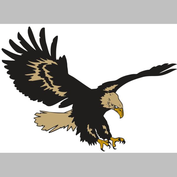 AR EAGLE 47 RC Thumbnail