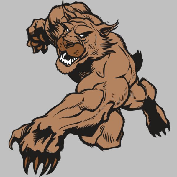 AR WILDCAT 47 RC Thumbnail