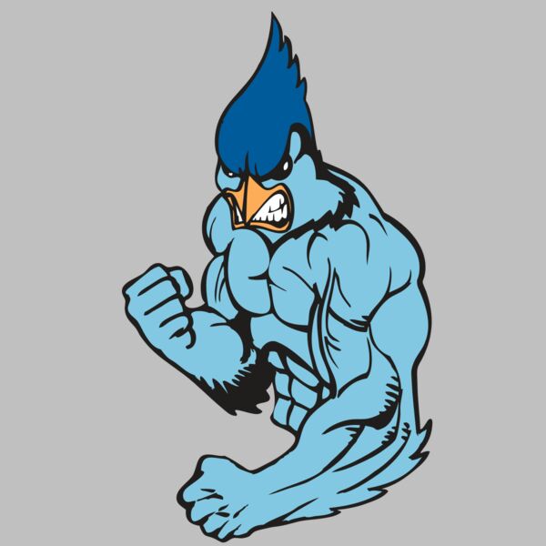 BAW BLUEJAY 13 RC Thumbnail