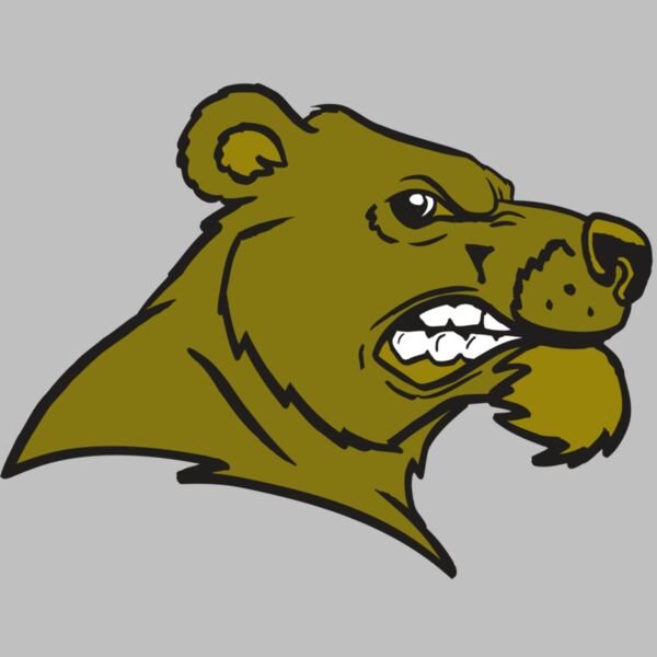 AR BEAR 11 RC Thumbnail