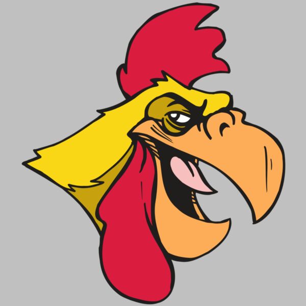 AR5 Gamecock 06 RQC Thumbnail