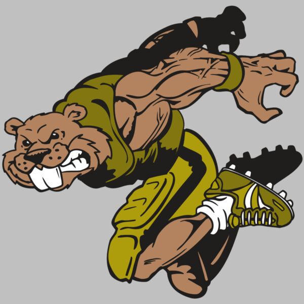 AR14 BEAVER FBLL 02 RQC Thumbnail