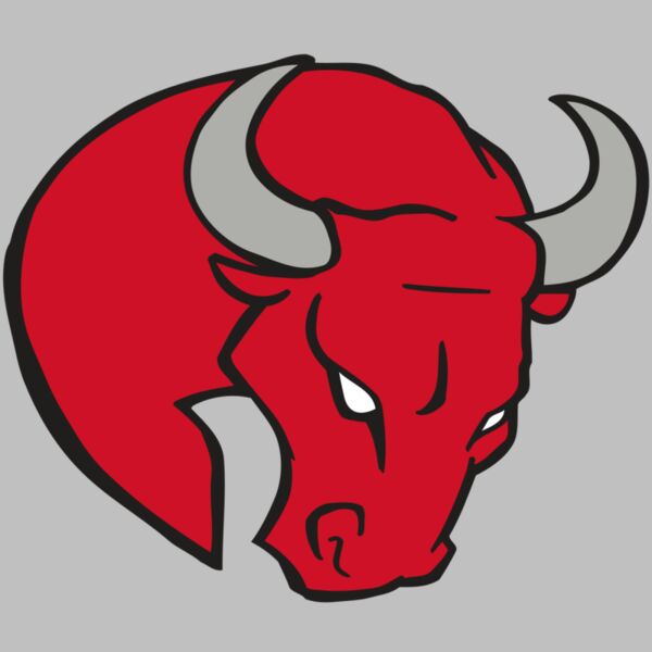 AR BULL 24 RC Thumbnail