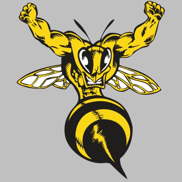 BAW BEE 04 RC Thumbnail