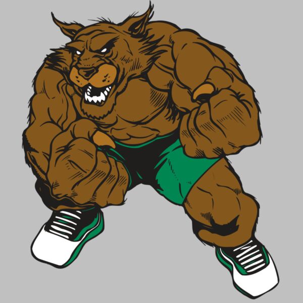 AR WILDCAT 45 RC Thumbnail