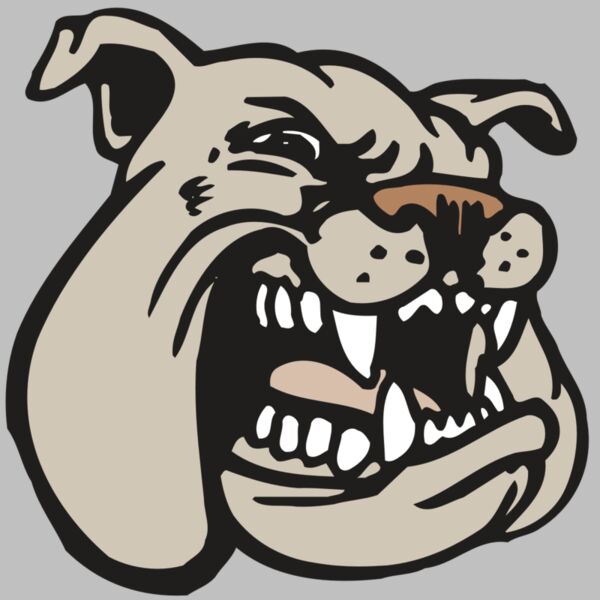 AR BDOG 38 RC Thumbnail