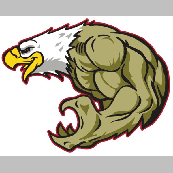 AR EAGLE 22 RC Thumbnail