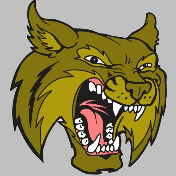 AR5 BOBCAT 20 RQC Thumbnail