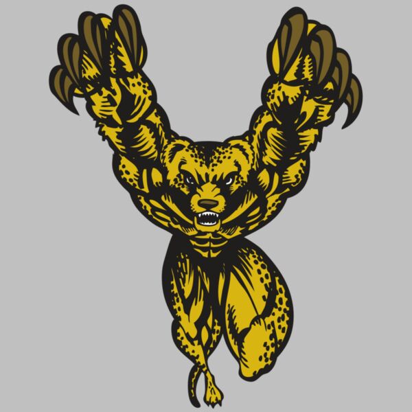 BAW CHEETAH 09 RC Thumbnail