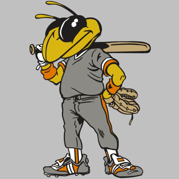 AR5 BEE 17 RQC Thumbnail