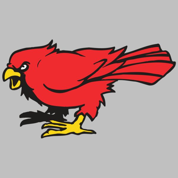 AR CARDINAL 11 RC Thumbnail