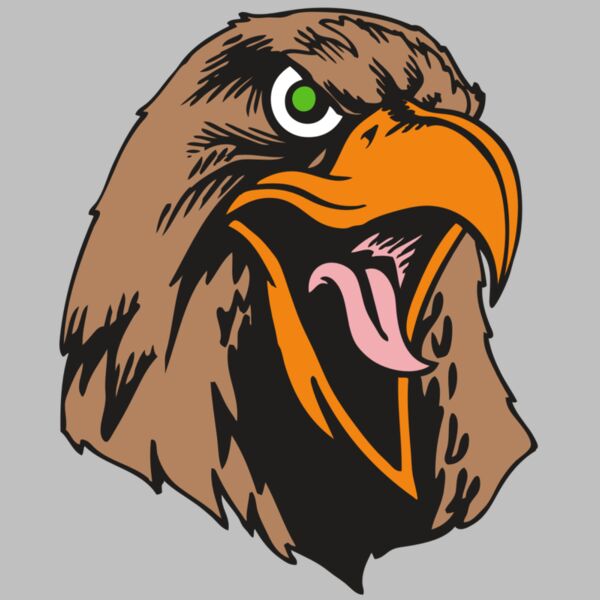 BAW HWK FLCN 01 RC Thumbnail