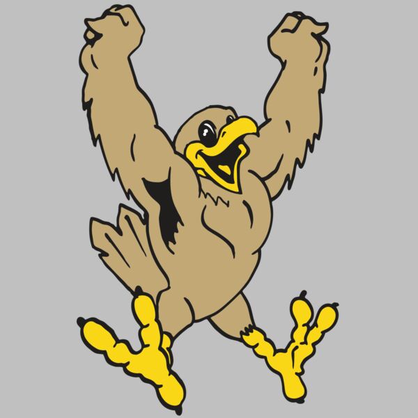 AR EAGLE 21 RC Thumbnail