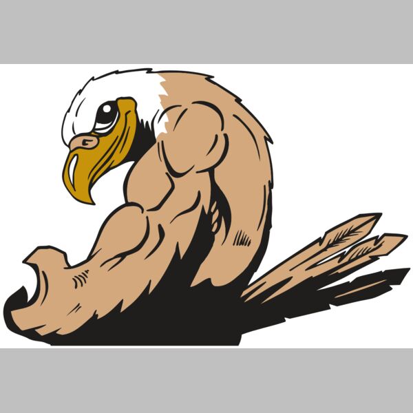 AR EAGLE 85 RC Thumbnail