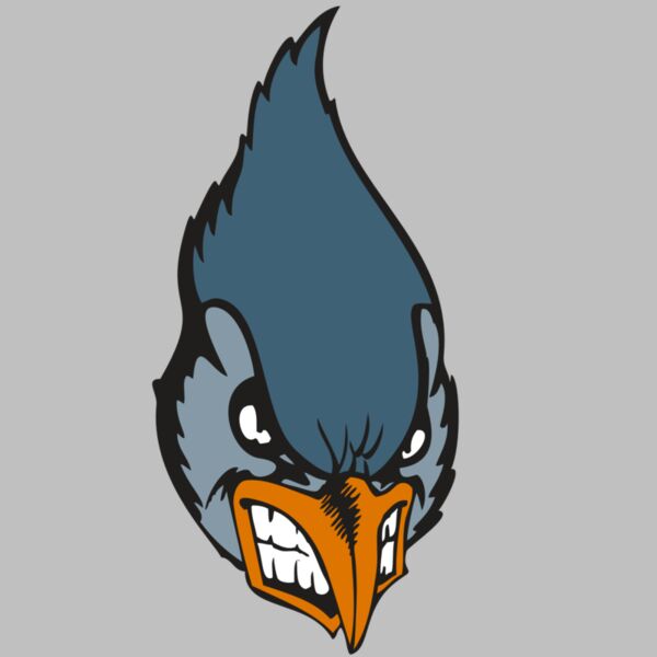 BAW BLUEJAY 01 RC Thumbnail