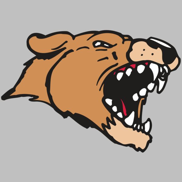 AR5 COUGAR 33 RQC Thumbnail