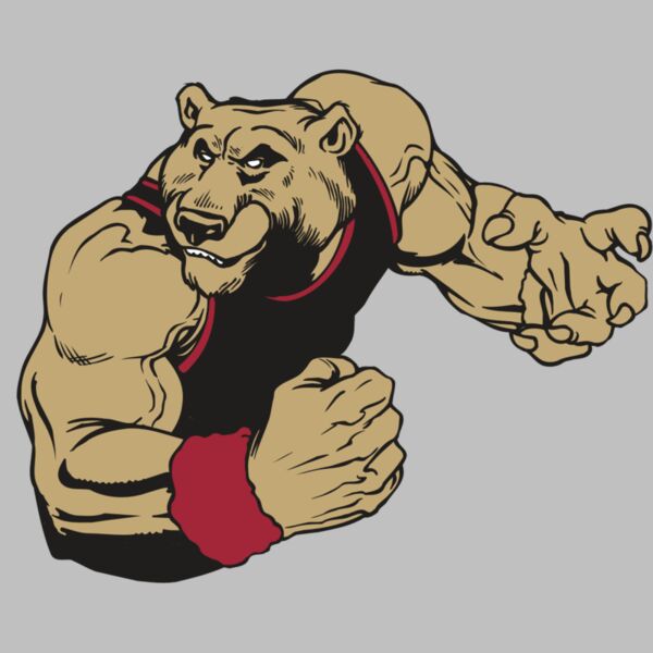 AR BEAR 40 RC Thumbnail