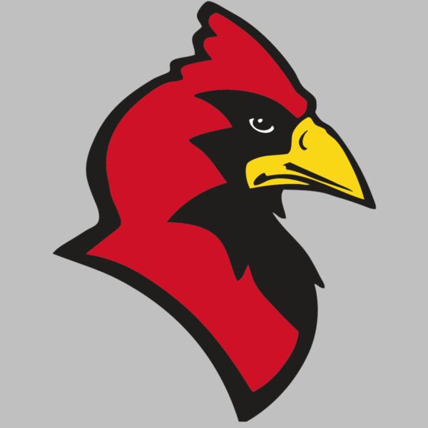 AR CARDINAL 20 RC Thumbnail