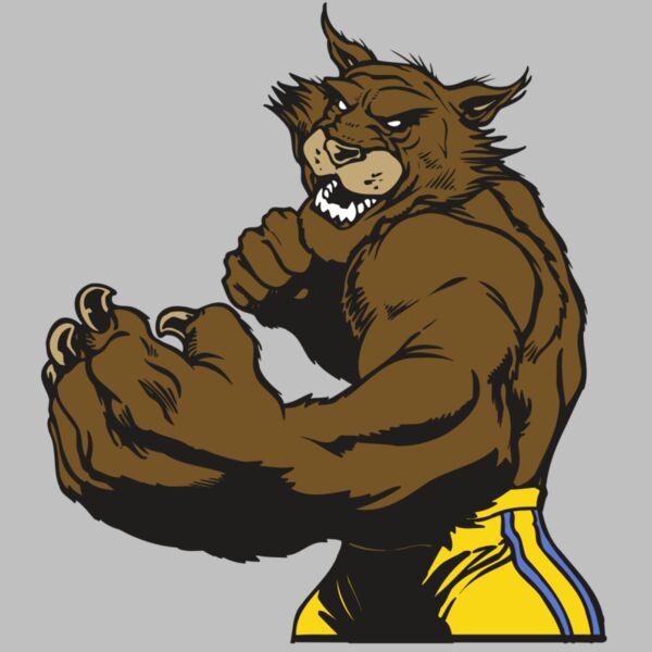 AR WILDCAT 48 RC Thumbnail