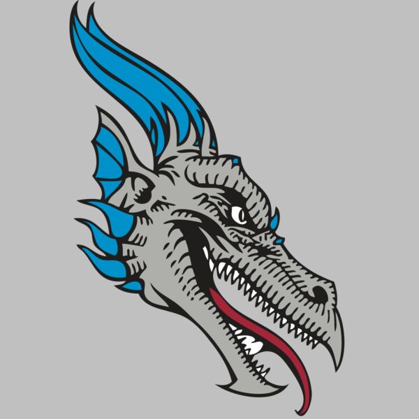 BAW DRAGON 07 RC Thumbnail