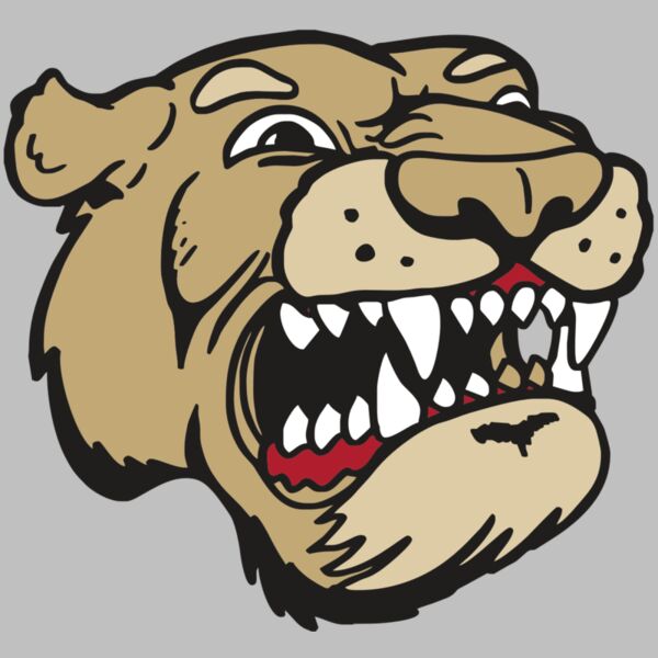 AR5 COUGAR 04 RQC Thumbnail