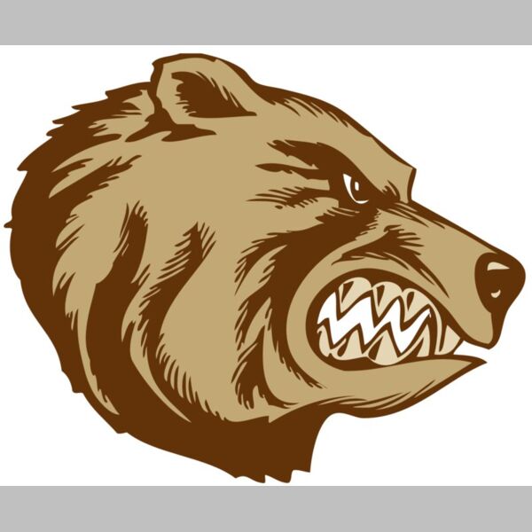 BAW BEAR 16 RC Thumbnail