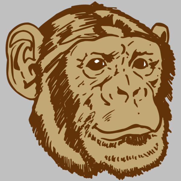 AR OTHER 47 RC Thumbnail