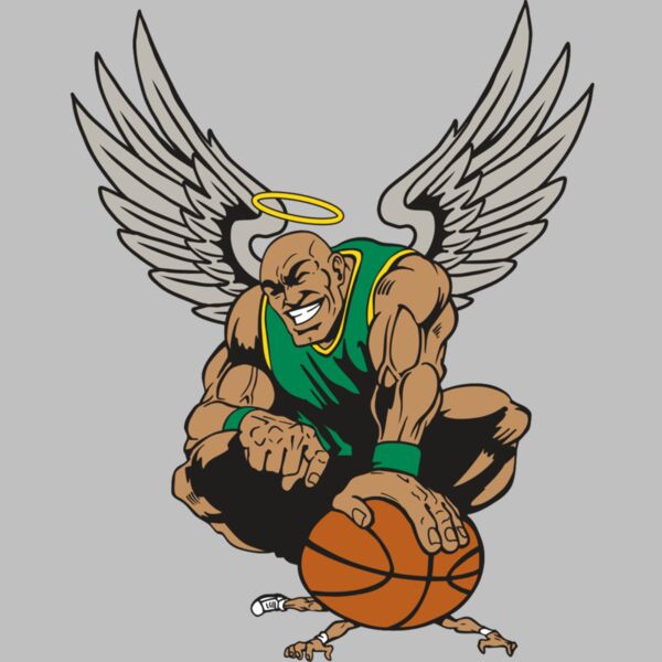 AR17 ANGEL BSKT 03 RQC Thumbnail