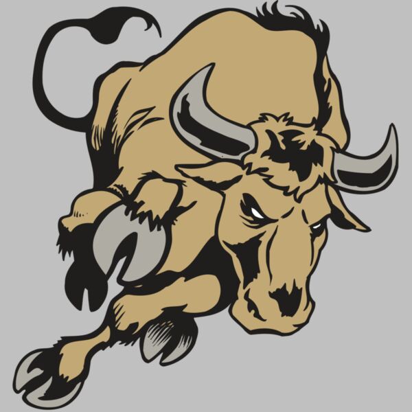 AR BULL 51 RC Thumbnail