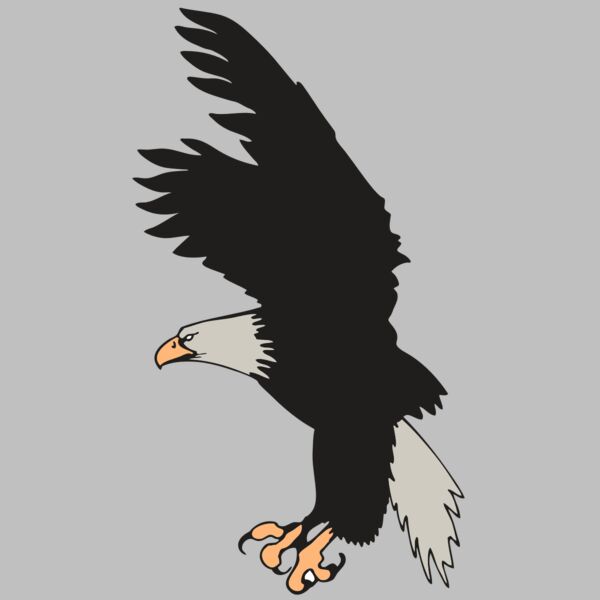 AR EAGLE 91 RC Thumbnail