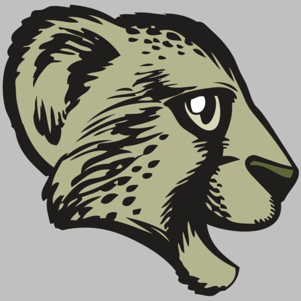 BAW CHEETAH 17 RC Thumbnail