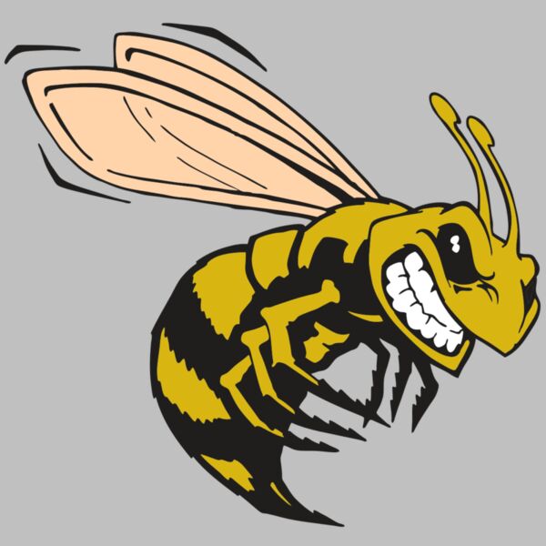 AR BEE 50 RC Thumbnail