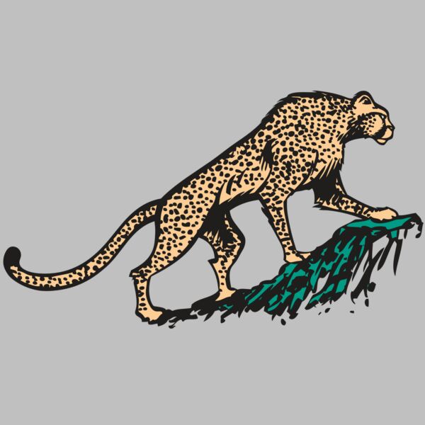 AR CHEETAH 02 RC Thumbnail