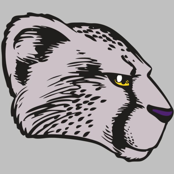 BAW CHEETAH 20 RC Thumbnail