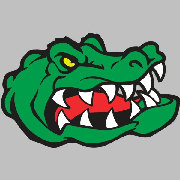 AR GATOR 19 RQC Thumbnail