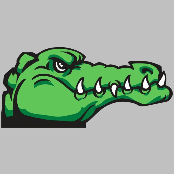 AR GATOR 15 RQC Thumbnail