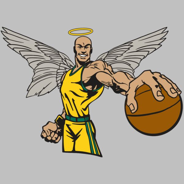 AR17 ANGEL BSKT 06 RQC Thumbnail