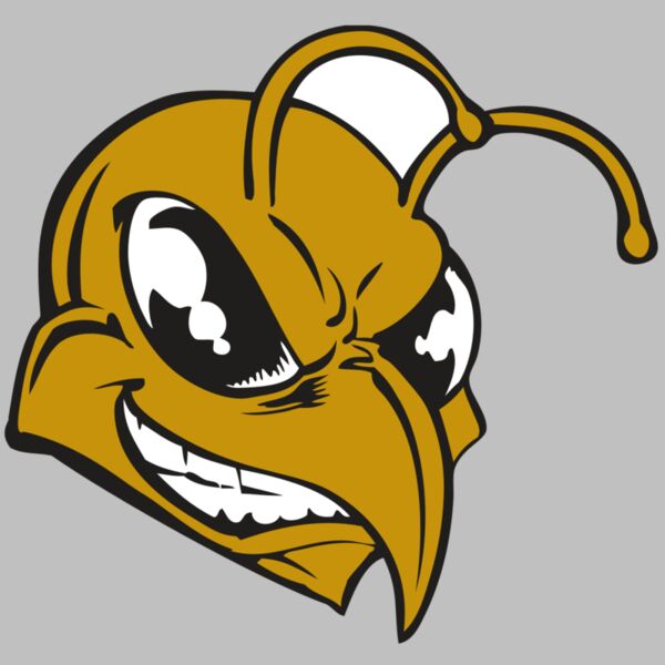 BAW BEE 18 RC Thumbnail