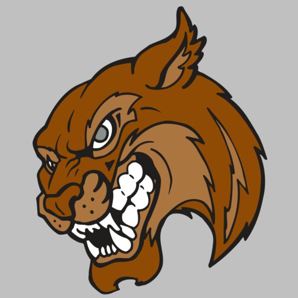 AR5 BOBCAT 07 RQC Thumbnail