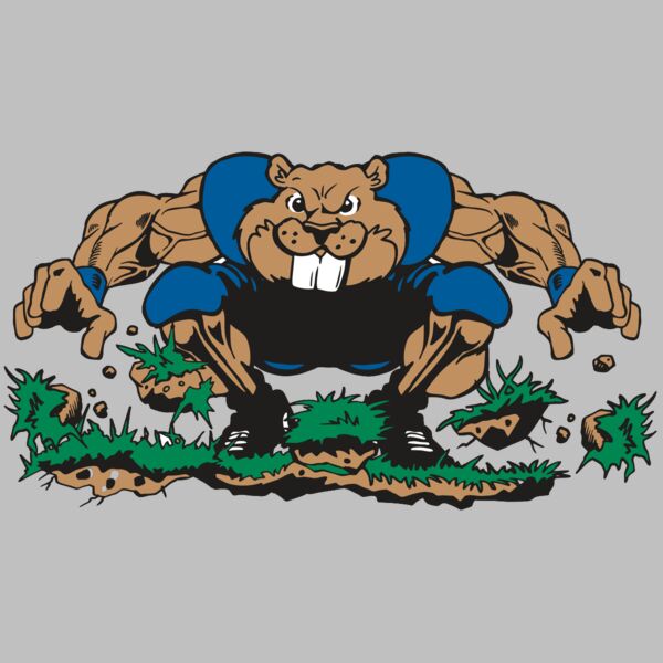 AR14 BEAVER FBLL 04 RQC Thumbnail