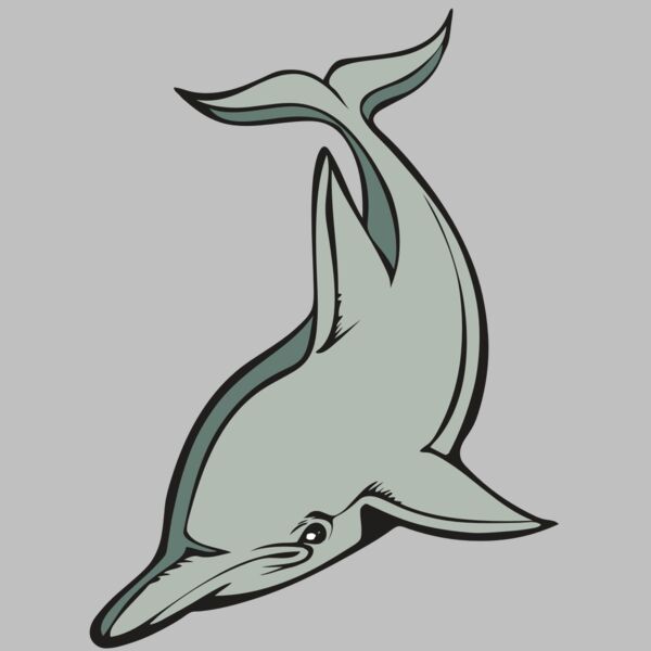 BAW DOLPHIN 01 RC Thumbnail