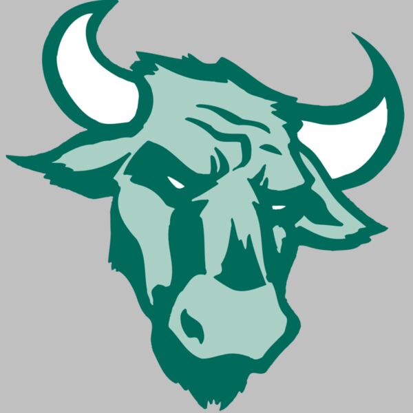 AR BULL 37 RC Thumbnail