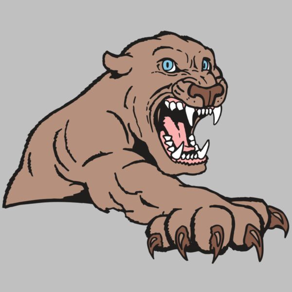 AR5 COUGAR 20 RQC Thumbnail