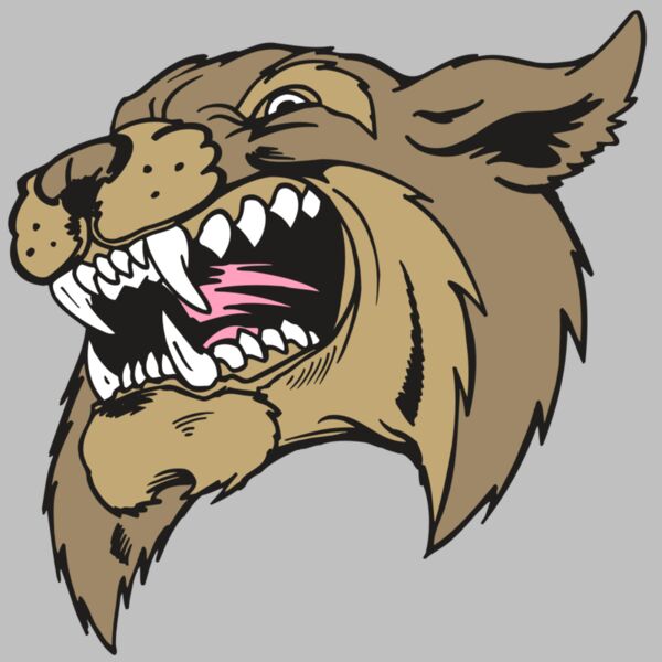 AR5 BOBCAT 09 RQC Thumbnail