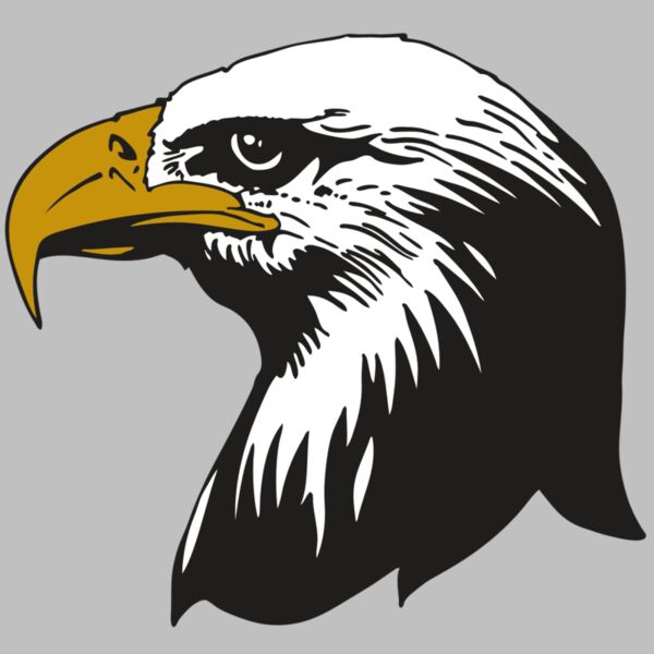 AR EAGLE 87 RC Thumbnail