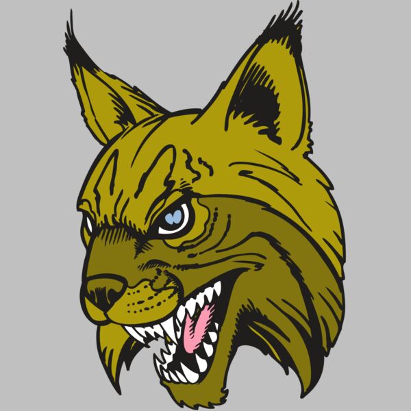 BAW BOBCAT 05 RC Thumbnail