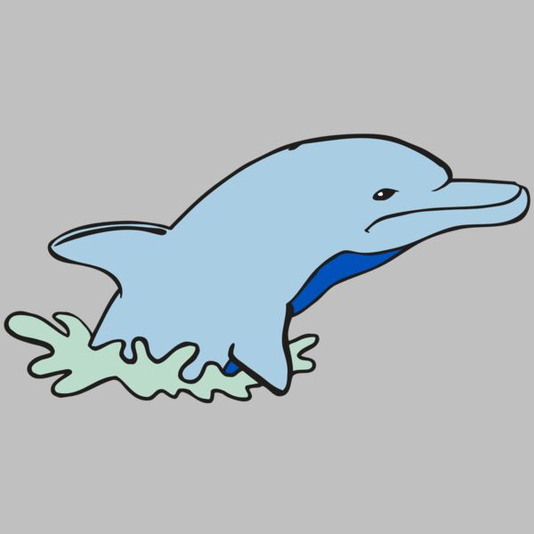 AR DOLPIN 14 RC Thumbnail