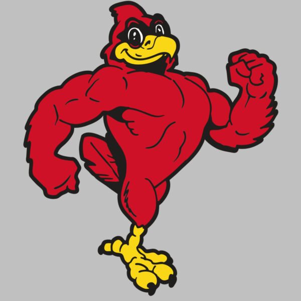 AR CARDINAL 41 RC Thumbnail